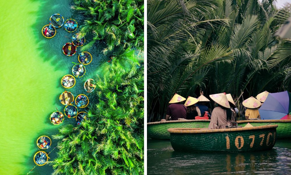 rừng dừa bảy mẫu