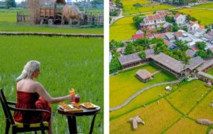 Cafe Sân Vườn/Nhiệt Đới Hội An