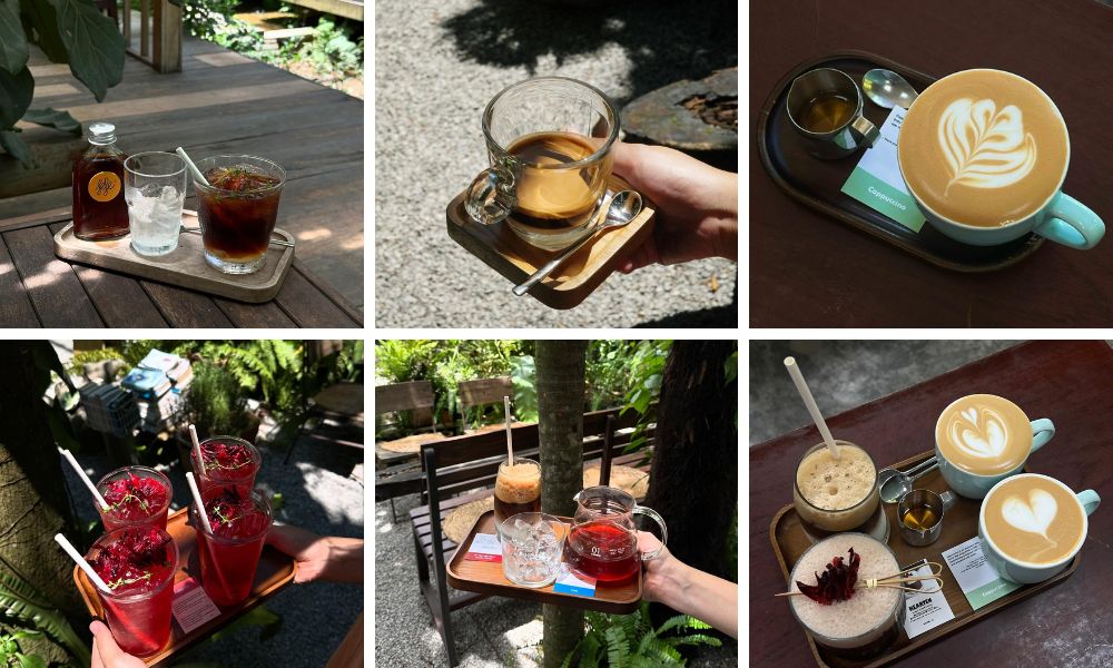 FeFe Coffee