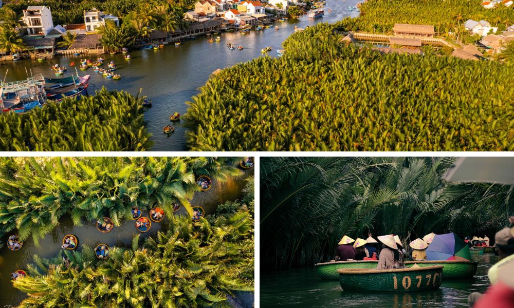 Rừng bảy Bảy Mẫu (Bay Mau coconut forest)