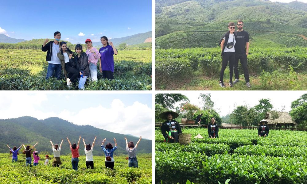 Chụp ảnh sống ảo ở Đồi chè Đông Giang (Dong Giang tea hill)