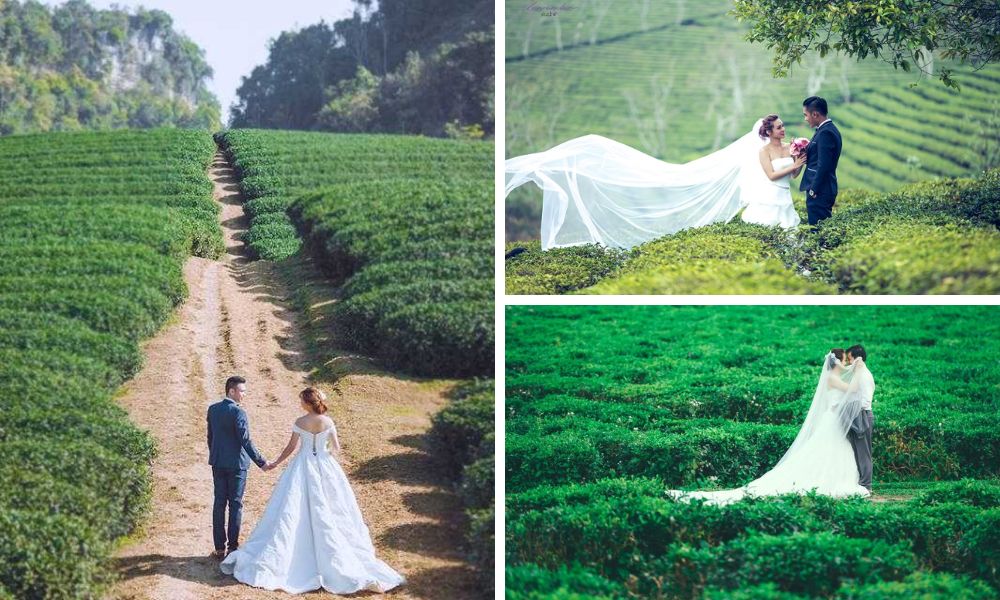 Chụp ảnh cưới ở đồi chè Đông Giang (Taking wedding photos at Dong Giang tea hill)