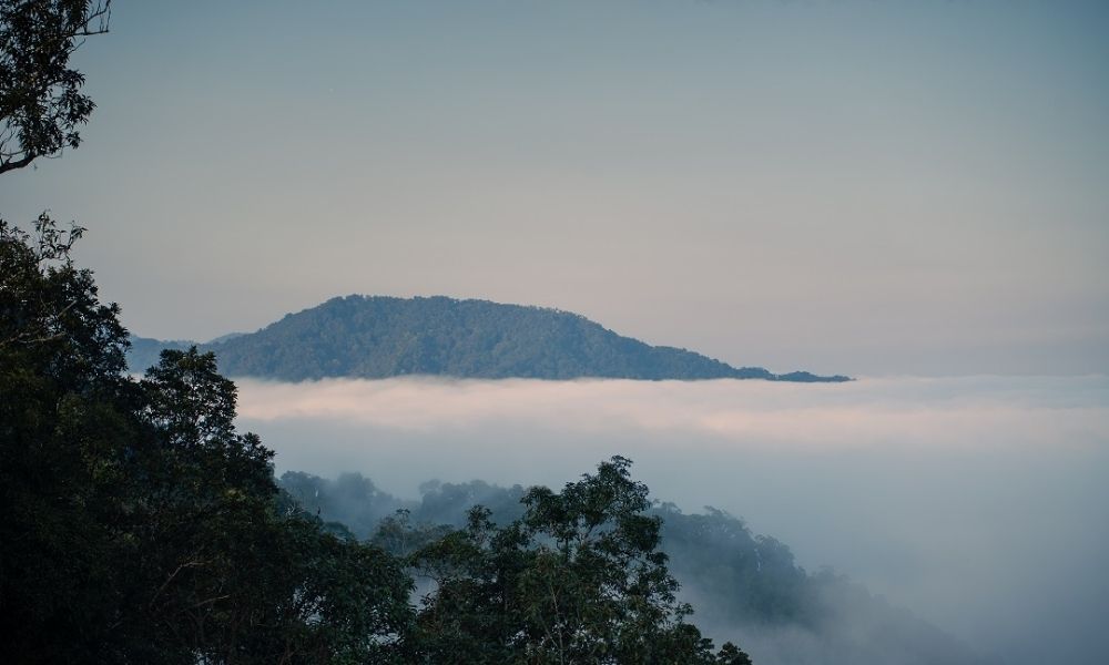 Săn mây trên Đỉnh Quế (Cloud hunting on Cinnamon Peak)