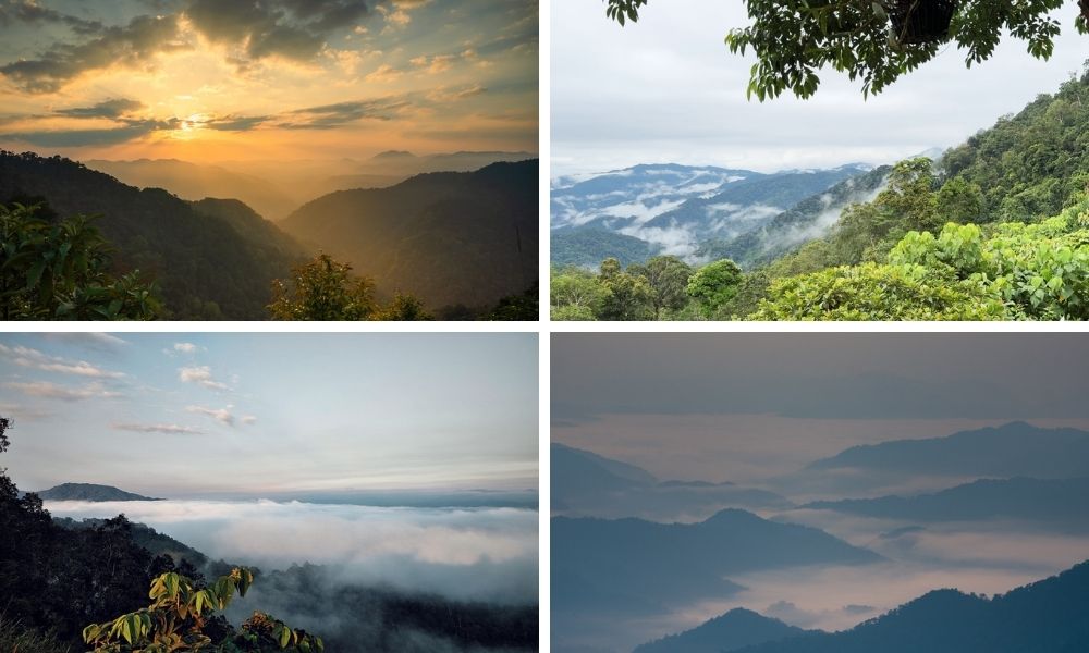 Săn mây trên Đỉnh Quế (Cloud hunting on Cinnamon Peak)