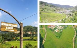 Ruộng bậc thang Chuôr (Chuor terraced fields)