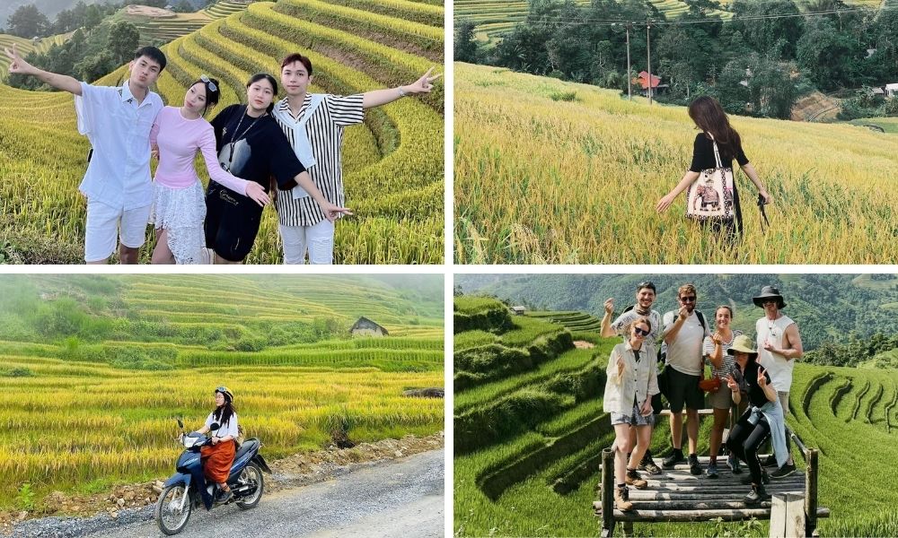 Ruộng bậc thang Chuôr (Chuor terraced fields)