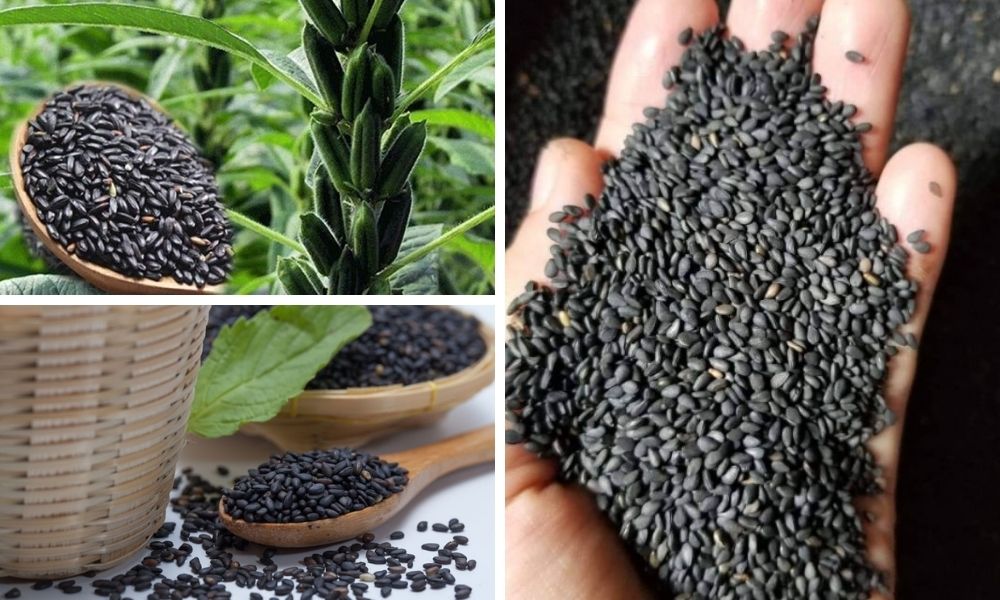 Mè đen (Black sesame)