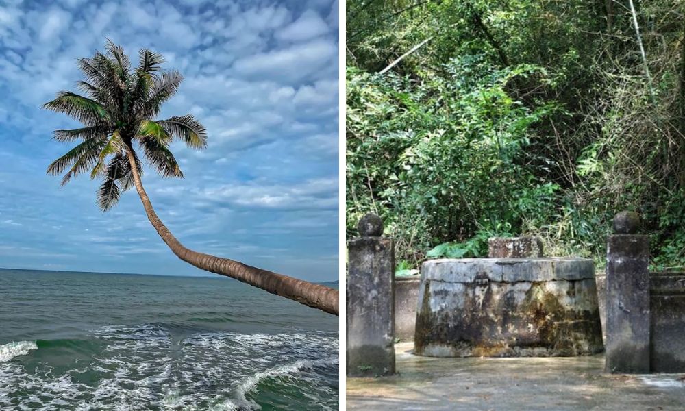 Giếng Cổ và Cây Dừa Nghiêng Trăm Năm Tam Hải (Ancient Well and Hundred-Year-Old Leaning Coconut Tree in Tam Hai)