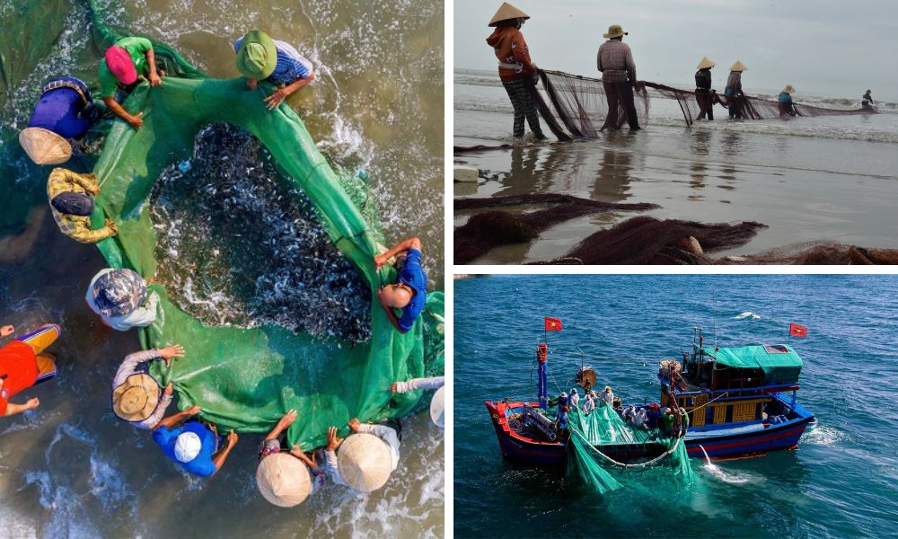 Trải nghiệm ngư nghiệp (Fishery experience)