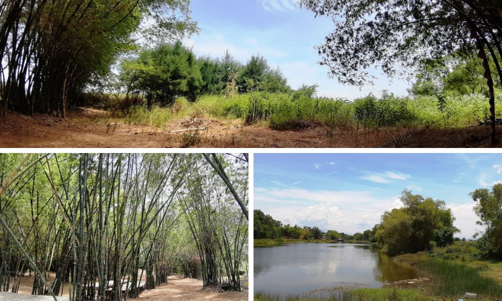 Cảnh quang khu du lịch sinh thái Triêm Tây (Triem Tay eco-tourism area)
