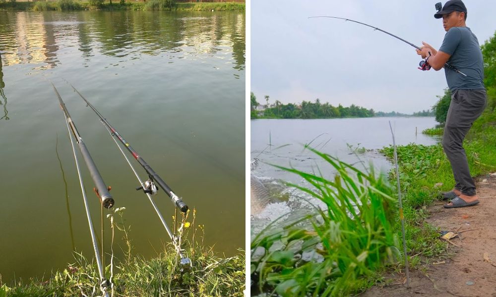 Câu cá ở khu du lịch sinh thái Triêm Tây (Fishing in Triem Tay eco-tourism area)
